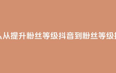 抖音怎么从0提升500粉丝等级(抖音0到500粉丝等级提升攻略)  第1张