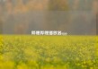 哔哩哔哩播放器app