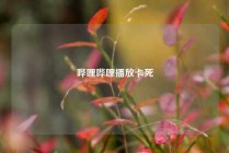 哔哩哔哩播放卡死