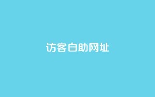 QQ访客自助网址,抖音评论真人下单 - 网红助手平台哪个好用 - 抖音24小时全自助下