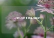 dy赞24小时下单平台退款