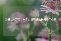 欠债七十万后，一个乡镇驿站站长的中年心事