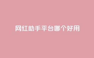 网红助手平台哪个好用,快手全网最低价下单平台 - dy免费24小时下单网站最新版 - 抖音业务代理平台