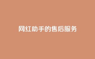 网红助手的售后服务,qq空间访问10人怎么弄 - 全网24小时自助下单网站在线 - qq空间免费点赞赞