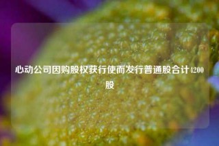 心动公司因购股权获行使而发行普通股合计4200股