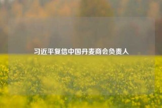 习近平复信中国丹麦商会负责人
