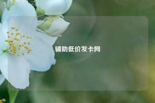 辅助低价发卡网