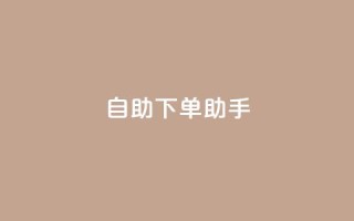 自助下单助手,卡盟自动发卡网 - 抖音作品点赞自助 - dy自助下单网