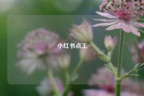 小红书点工