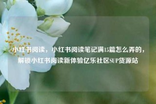 小红书阅读，小红书阅读笔记满15篇怎么弄的，解锁小红书阅读新体验亿乐社区SUP货源站