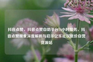 抖音点赞，抖音点赞自助平台24小时服务，抖音点赞现象深度解析与启示亿乐社区低价自营货源站