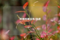 哔哩哔哩没有2倍速