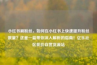 小红书刷粉丝，如何在小红书上快速提升粉丝数量？这是一篇带你深入解析的指南！亿乐社区低价自营货源站