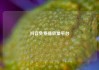 抖音免费播放量平台