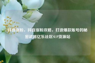 抖音涨粉，抖音涨粉攻略，打造爆款账号的秘密武器亿乐社区SUP货源站