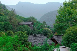 透视社会组织创新实践中的花开岭现象：与乡村发展的融合共进