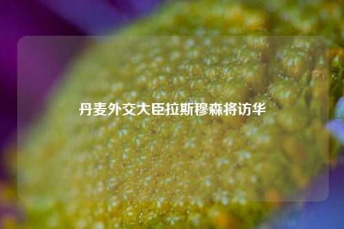 丹麦外交大臣拉斯穆森将访华  第1张