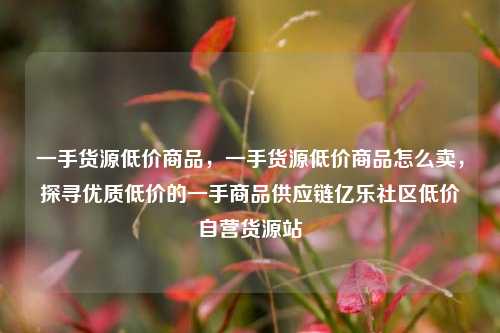 一手货源低价商品，一手货源低价商品怎么卖，探寻优质低价的一手商品供应链亿乐社区低价自营货源站  第1张