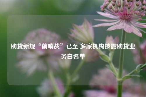 助贷新规“前哨战	”已至 多家机构披露助贷业务白名单  第1张