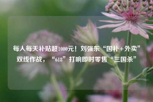 每人每天补贴超1000元！刘强东“国补+外卖	”双线作战	，“618”打响即时零售“三国杀”  第1张