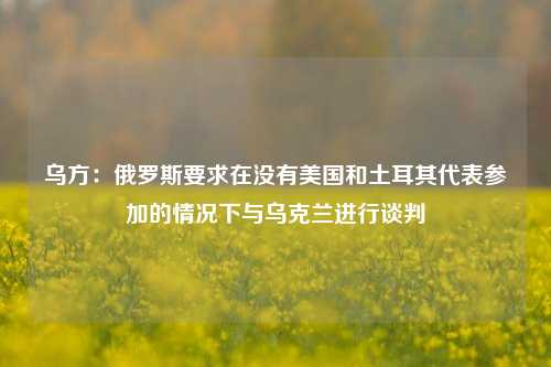 乌方：俄罗斯要求在没有美国和土耳其代表参加的情况下与乌克兰进行谈判  第1张