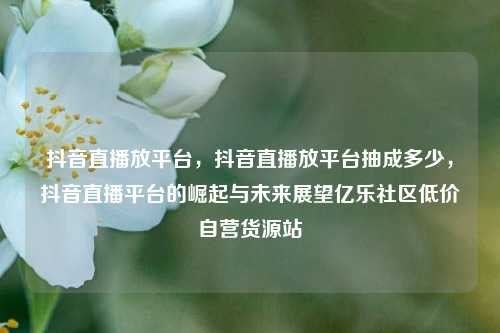 抖音直播放平台	，抖音直播放平台抽成多少，抖音直播平台的崛起与未来展望亿乐社区低价自营货源站  第1张