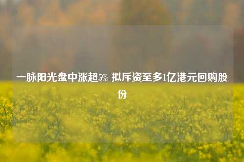 一脉阳光盘中涨超5% 拟斥资至多1亿港元回购股份  第1张