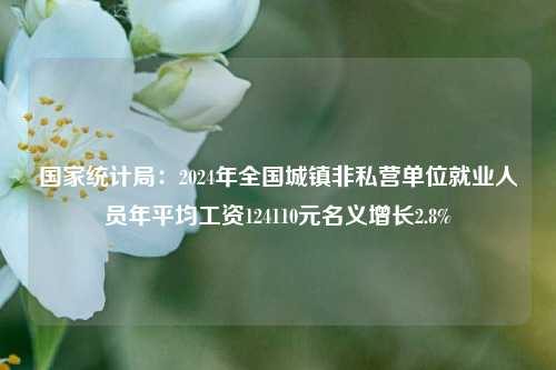 国家统计局:2024年全国城镇非私营单位就业人员年平均工资124110元名义增长2.8% 第1张 国家统计局:2024年全国城镇非私营单位就业人员年平均工资124110元名义增长2.8% 第1张