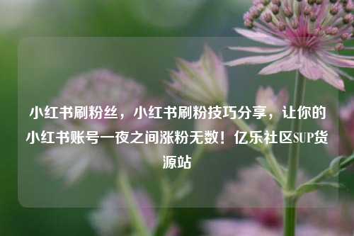 小红书刷粉丝，小红书刷粉技巧分享，让你的小红书账号一夜之间涨粉无数！亿乐社区SUP货源站  第1张