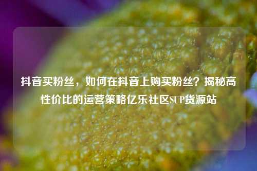 抖音买粉丝	，如何在抖音上购买粉丝？揭秘高性价比的运营策略亿乐社区SUP货源站  第1张