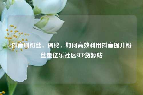 抖音刷粉丝，揭秘，如何高效利用抖音提升粉丝量亿乐社区SUP货源站  第1张