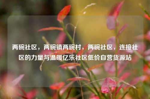 两碗社区	，两碗镇两碗村，两碗社区，连接社区的力量与温暖亿乐社区低价自营货源站  第1张