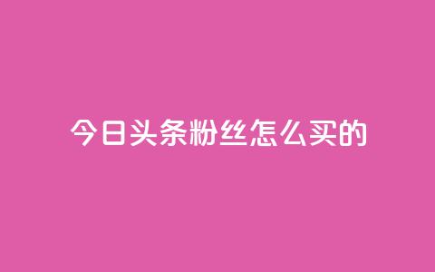 今日头条粉丝怎么买的 - vip影视会员一手货源批发  第1张