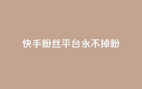 快手粉丝平台+永不掉粉,南荷网络24小时在线下单平台优惠 - 抖音业务下单24小时便宜 QQ人气访客  第1张