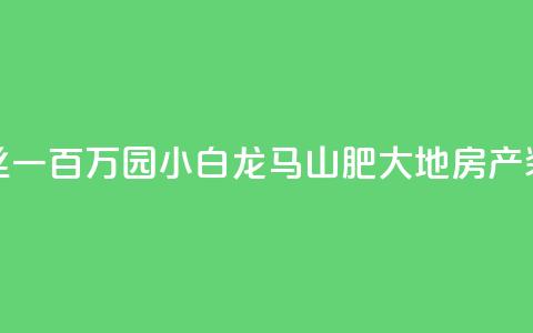 快手粉丝一百万0.01园小白龙马山肥大地房产装修网站,直播间人气协议网站 - 抖音低价业务全网最低 抖音点赞极速到账  第1张