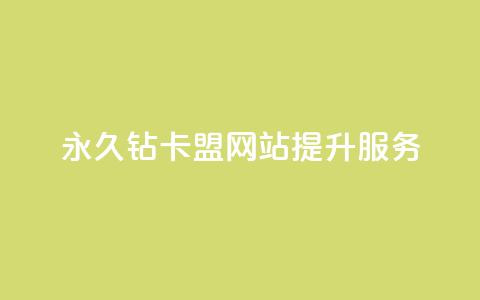 永久钻卡盟网站提升服务  第1张