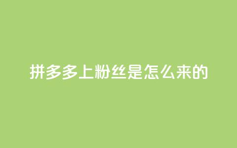 拼多多上粉丝是怎么来的,qq空间访客业务 - 拼多多转盘助力网站 拼多多怎么买人助力 第1张 拼多多上粉丝是怎么来的,qq空间访客业务 - 拼多多转盘助力网站 拼多多怎么买人助力 第1张