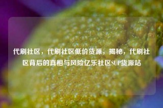 代刷社区，代刷社区低价货源，揭秘，代刷社区背后的真相与风险亿乐社区SUP货源站