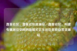 直客社区，直客社区货源站，直客社区，构建专属居住空间的新模式亿乐社区低价自营货源站