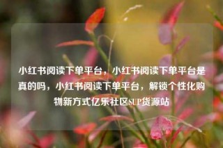 小红书阅读下单平台，小红书阅读下单平台是真的吗，小红书阅读下单平台，解锁个性化购物新方式亿乐社区SUP货源站