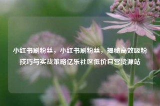 小红书刷粉丝，小红书刷粉丝，揭秘高效吸粉技巧与实战策略亿乐社区低价自营货源站