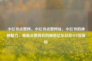 小红书点赞网，小红书点赞网址，小红书的神秘魅力，揭秘点赞背后的秘密亿乐社区SUP货源站