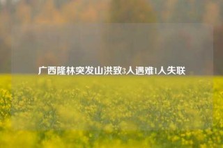 广西隆林突发山洪致3人遇难1人失联