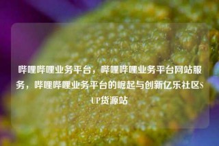 哔哩哔哩业务平台，哔哩哔哩业务平台网站服务，哔哩哔哩业务平台的崛起与创新亿乐社区SUP货源站