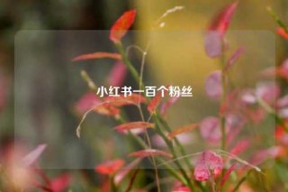 小红书一百个粉丝