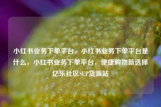 小红书业务下单平台，小红书业务下单平台是什么，小红书业务下单平台，便捷购物新选择亿乐社区SUP货源站