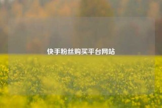 快手粉丝购买平台网站