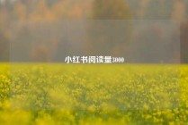 小红书阅读量3000