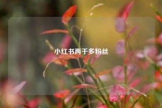 小红书两千多粉丝