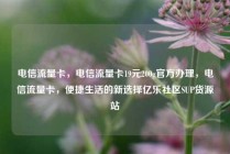 电信流量卡，电信流量卡19元200g官方办理，电信流量卡，便捷生活的新选择亿乐社区SUP货源站